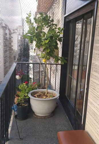 Departamento En Venta Barrio Norte - Semipiso 3 Ambientes Dependencia. Al Frente, Piso Alto, Luz.