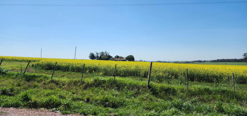 Vendo Chacra En Colonia Uruguay Gran Oportunidad