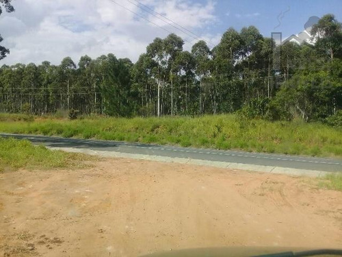 Imagem 3 de 11 de Cod 3943 - Área Com 40 Alqueires A 900 Metros Da Raposo Tava - 3943