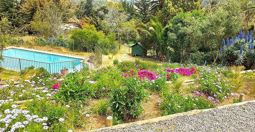 Casa En Venta De 5 Dorm. En Zapallar