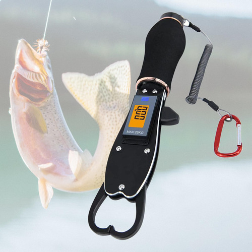 Pinza Para Peces Con Báscula Profesional, Gancho Para Agua
