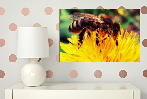 Cuadro 60x90cm Decorativo Insecto Abeja Flores Miel M2