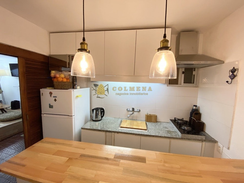 Venta Apartamento En Peninsula, Monoambiente Reciclado- Ref: 4232