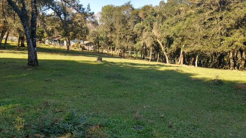 Imagem 14 de 29 de Terreno A Venda No Bairro Campina Da Barra Em Araucária - - 5584-1