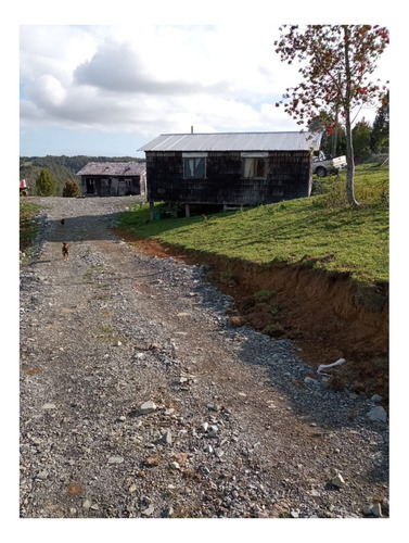 Imagen 4 de 8 de Se Vende Campo De 26.5 Hectareas Sector Los Muermos