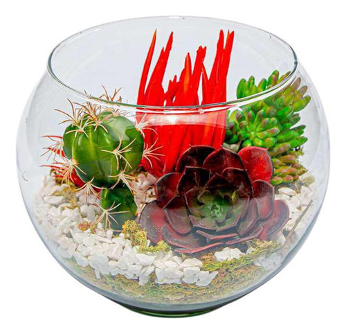 Arranjo Vaso Aquário Com Suculentas E Pedra