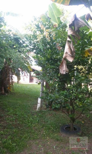 Chácara Com 3 Dormitórios À Venda, 1020 M² Por R$ 420.000,00 - Parque Das Árvores - Boituva/sp - Ch0580