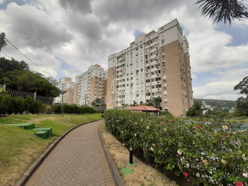 Apartamento - Jardim Carvalho - Ref: 197999 - V-198111