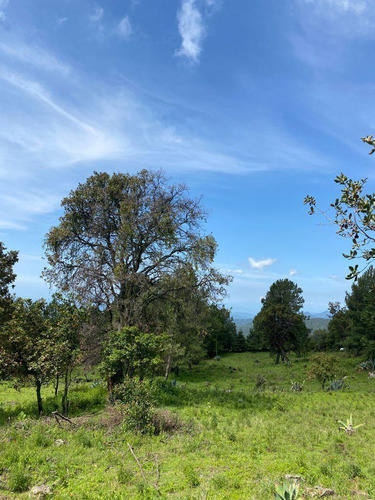 Gran Terreno En Paraje Palacio