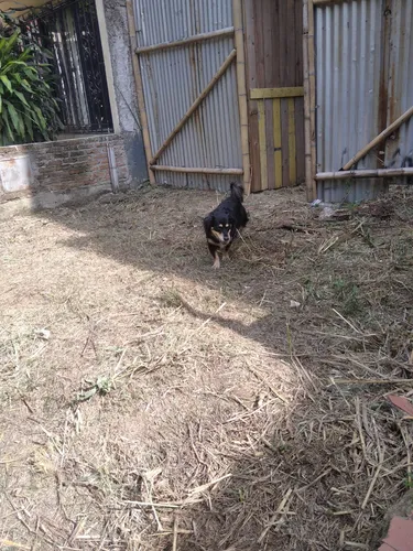 Vendo O Alquilo Lote
