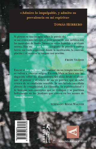 Imagen 2 de 7 de Lo Que Brota - Tomás Herrero