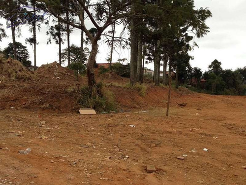 Imagem 4 de 6 de Terreno Para Venda, 2742.65 M2, Jardim Nossa Senhora Das Graças - Cotia - 23616