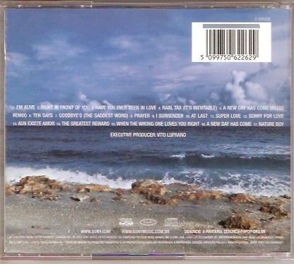 Cd Celine Dion - A New Day Has Come (Usado)