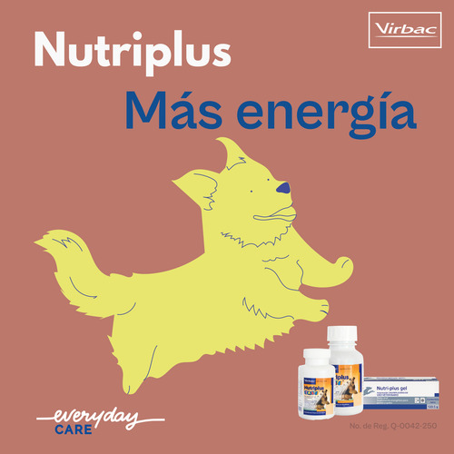 Nutriplus Tabs 60 Tabletas Vitaminas Y Minerales Para Perros