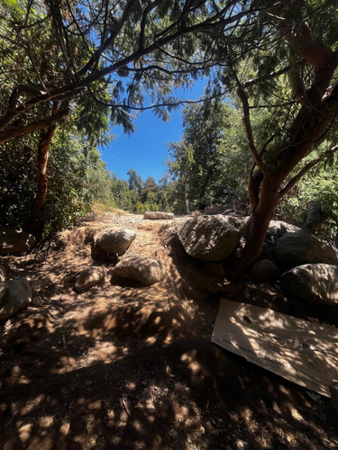 Molina, Radal Parcela De 5.000 M2 Rodeada De Bosque Nativo