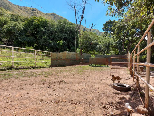 Imagen 23 de 29 de Finca Mixta + Manga De Coleo De 1 Ha En Guayabita En Turmero