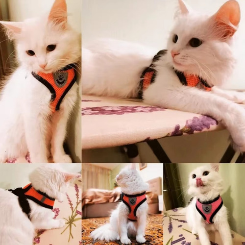 Accesorios De Ropa Para Perro/gato Con Correa Transpirable Negro M Malla
