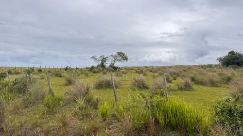 Campo 26 Has Sobre Camino Los Molles