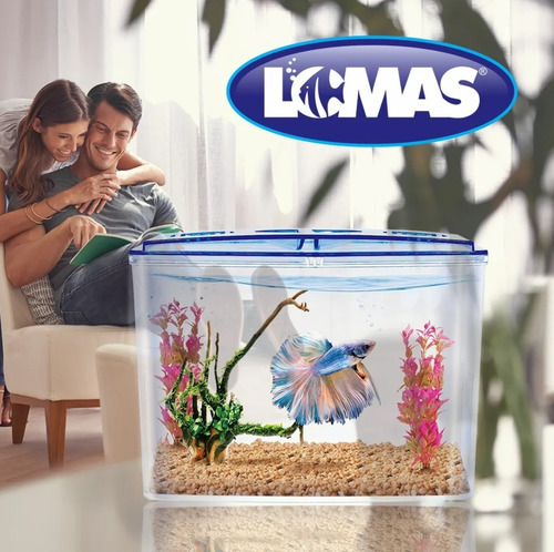 Imagen 4 de 5 de Pecera Chica Para Pez Betta Betera Doble De Plastico 1.5 Lt