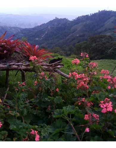 Deja Que El Campo Trabaje Para Ti : Finca En Quipile