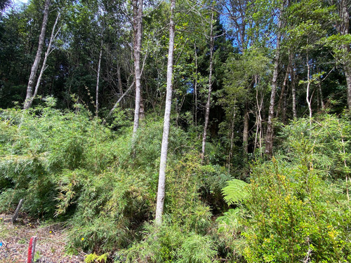 Venta De Parcela En Sendero Tres Puentes (70073)