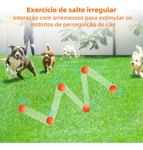 Bola de Futebol Pequena com Som para Cachorro Momovida Dt-15 Laranja