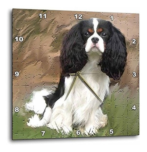 3drose Llc Cavalier Spaniel Reloj De Pared De 10 Por 10 PuLG