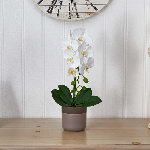 4569 Orquídea Phalaenopsis Maceta De Cerámica, Blanca...