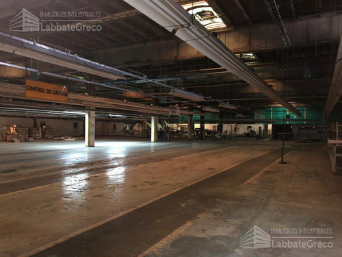 Imagen 4 de 23 de Galpón - Florencio Varela