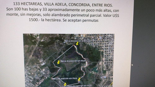 Imagen 3 de 5 de Campo De 133 Hectáreas En Entre Rios Acepta Permuta