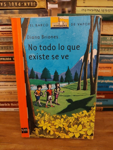 No Todo Lo Que Existe Se Ve - Diana Briones 