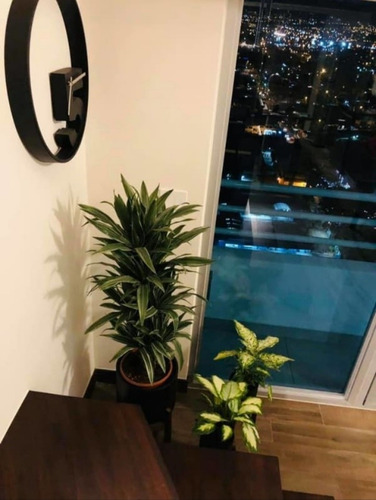 Imagen 8 de 14 de Full Amob Apto Estilo Loft Moderno En Los Yoses