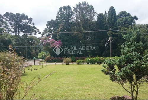 Imagem 6 de 9 de Terreno - Centro - Ref: 292376 - V-292376