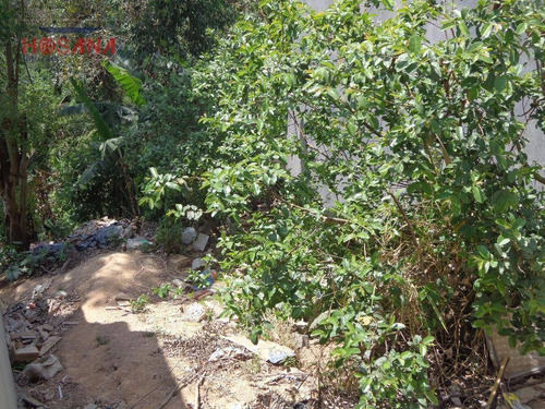 Imagem 4 de 5 de Terreno Residencial À Venda, Jardim Marcelino, Caieiras. - Te0204