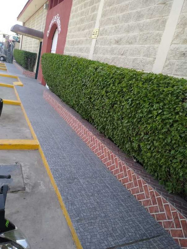 Imagen 10 de 15 de Quinta En Venta En Nueva Laguna Sur En Torreón, Coahuila