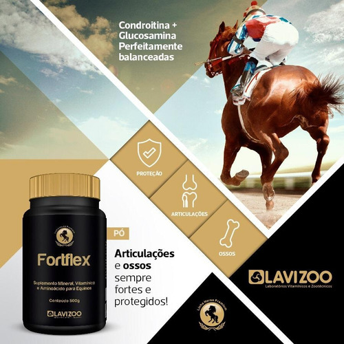 Suplemento Fortflex Lavizoo 500 Grs