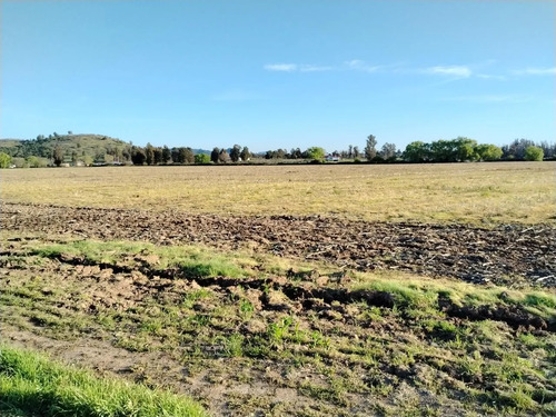 Terreno Agrícola De 33,5 Ha - Campo En Venta, San Clemente