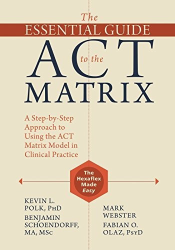 Book : The Essential Guide To The Act Matrix A Step-by-step