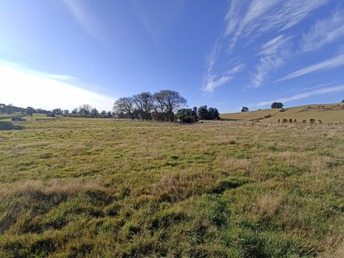 Imagen 7 de 10 de Se Vende Parcela En Puerto Varas