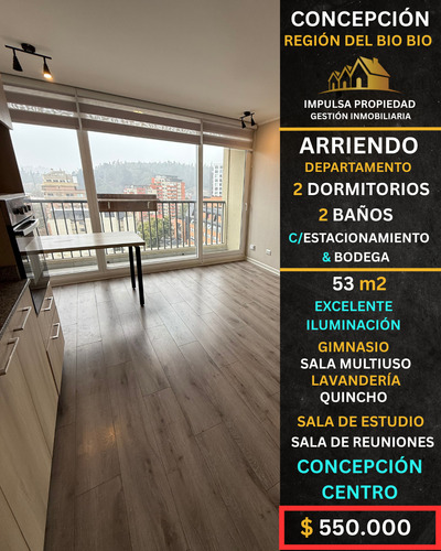 Luminoso Departamento 2d+2b En Concepción