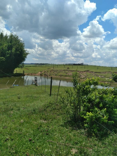Rural Avaré - 2,75 Alqueires