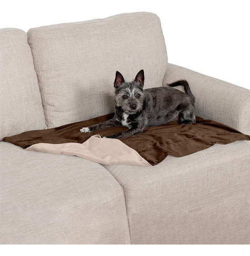 Manta Para Mascotas Impermeable Lavable Pequeña Color Piedra