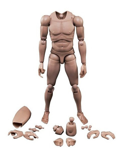 Cuerpo Mx02a Narrow Shoulder Body Sideshow O Hot Toys 1/6