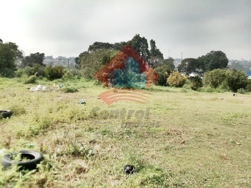 Imagem 1 de 2 de Terreno - Ref: 02803