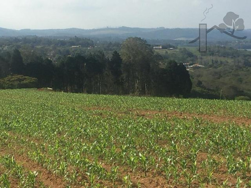 Imagem 4 de 15 de Cod - 5440 - Área Em Ibiúna - 5440