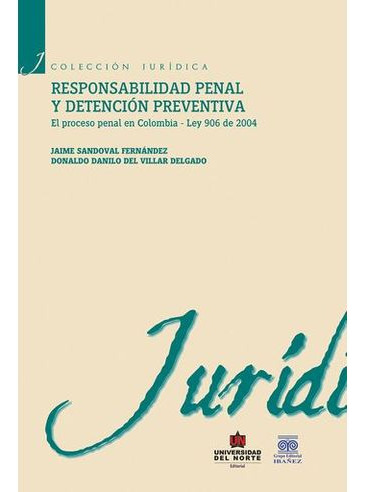 Libro Responsabilidad Penal Y Detencion Preventiva - Respon