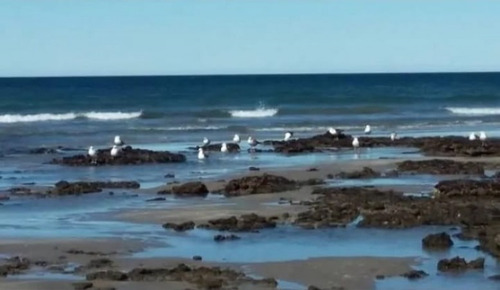 Imagen 6 de 14 de Dos Lotes Continuos En Playa Dorada Sierra Grande