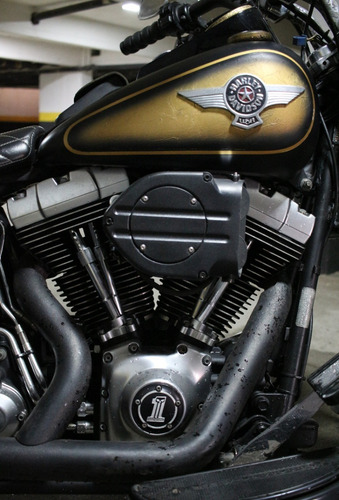 Imagem 13 de 14 de Harley Davidson Fat Boy Lo