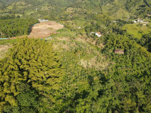 Imagen 25 de 30 de Venta De Finca En Pereira Vereda Combia .