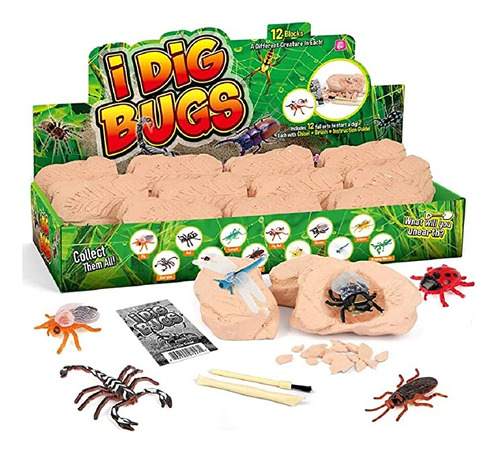 Kit De Excavación De Fósiles De Big Bug  Stem Ciencia .